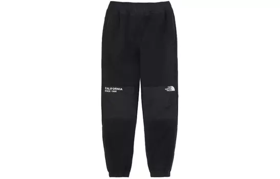 THE NORTH FACE Мужские спортивные штаны, цвет Black