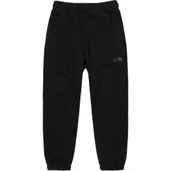 THE NORTH FACE Мужские трикотажные спортивные штаны, цвет Black