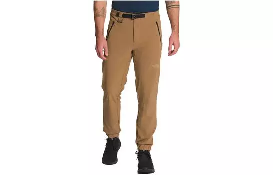 THE NORTH FACE Мужские трикотажные спортивные штаны, цвет Brown