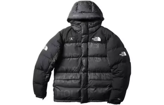 THE NORTH FACE Мужской пуховик, Черный