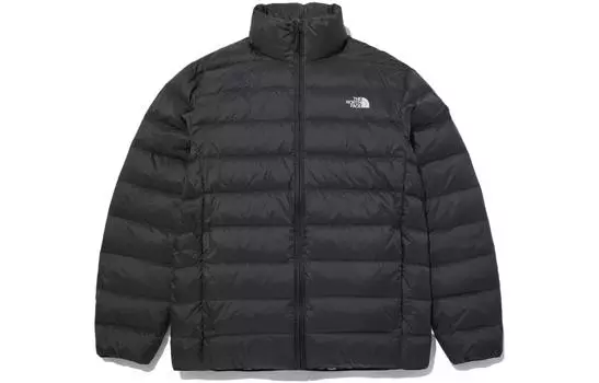 THE NORTH FACE Мужской пуховик, цвет Black
