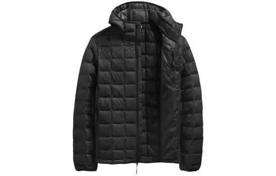 THE NORTH FACE Мужской пуховик, цвет Black