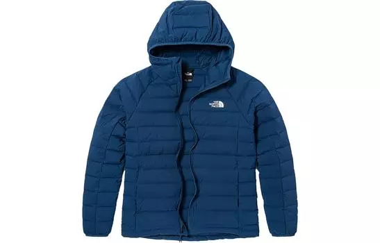 THE NORTH FACE Мужской пуховик, цвет Blue