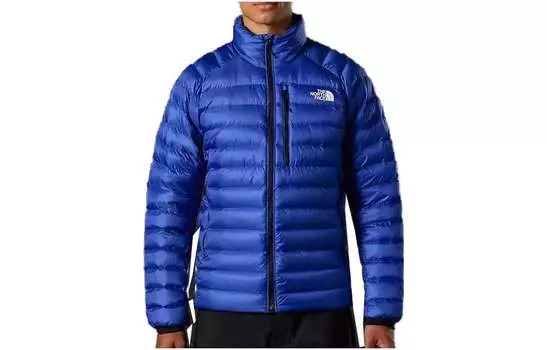 THE NORTH FACE Мужской пуховик, цвет Blue