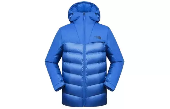 THE NORTH FACE Мужской пуховик, цвет Blue