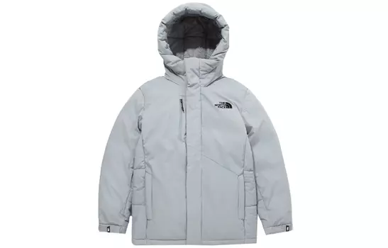 THE NORTH FACE Мужской пуховик, Серый