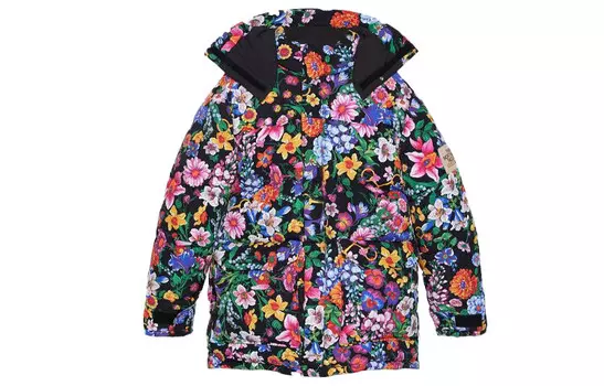 The North Face X The North Face пуховик мужской многоцветный Gucci, цвет Multicolor