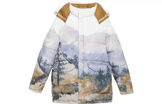 The North Face X The North Face пуховик мужской многоцветный Gucci, цвет Multicolor