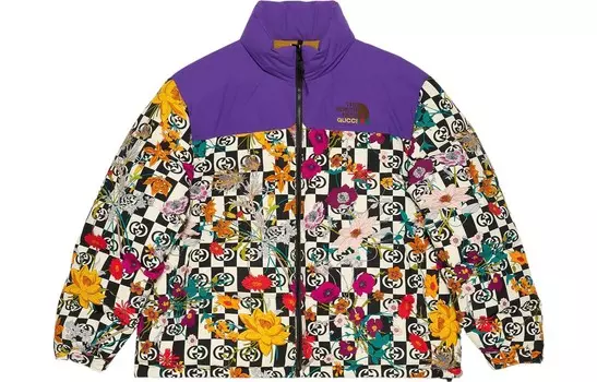 The North Face X The North Face пуховик мужской многоцветный Gucci, цвет Multicolor