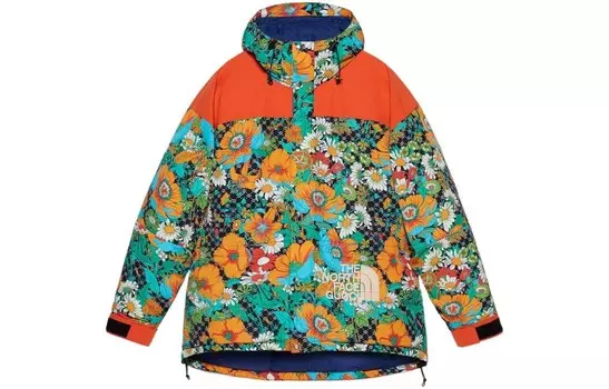 The North Face X THE NORTH FACE Коллекция одежды Куртка мужская Многоцветная Gucci, цвет Multicolor