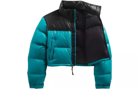 THE NORTH FACE Женская куртка, цвет Blue