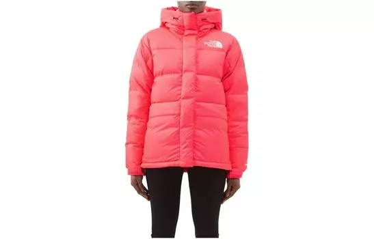 THE NORTH FACE Женская куртка, цвет Pink