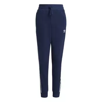 Тканевые брюки ADIDAS ORIGINALS Tapered Pants Trefoil, морской синий