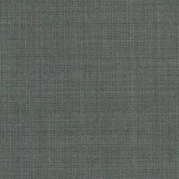 Тканевые брюки CARL GROSS, зеленый