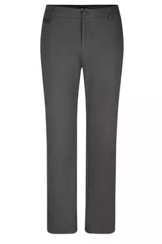 Тканевые брюки Men Plus Regular Pleat-Front Pants, серый