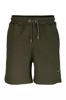 Тканевые брюки Versace Sweatshorts Axel, зеленый