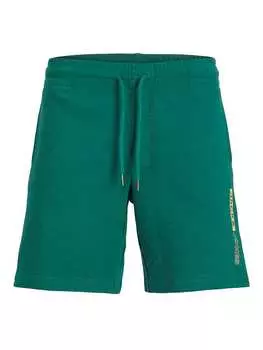 Тканевые шорты Jack & Jones, зеленый