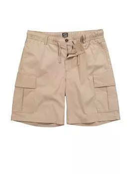 Тканевые шорты STHUGE, цвет kitt