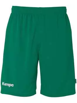 Тканевые шорты Team Shorts Kempa, зеленый