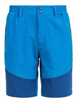 Тканевые шорты Whistler, цвет 2062 brilliant blue