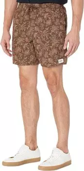 Толедо Джем Rhythm, цвет Chocolate