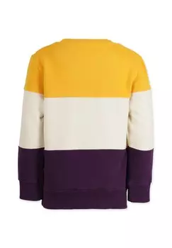 Толстовка 3C BLOCK Band of Rascals, мультиколор