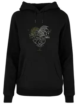 Толстовка Absolute Cult Kapuzenpullover, черный