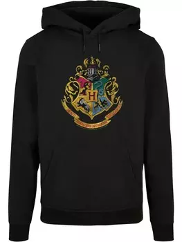 Толстовка Absolute Cult Kapuzenpullover, черный