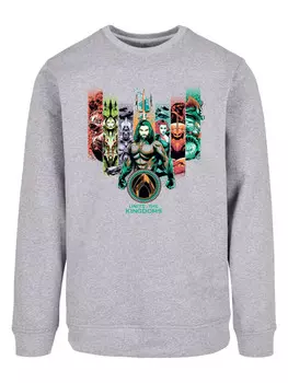 Толстовка Absolute Cult Rundhalsausschnitt, серый