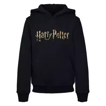 Толстовка ABSOLUTE CULT с капюшоном «ABSOLUTE CULT Men's Kids Harry Potter - Color Logo Basic Hoody», черный