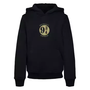 Толстовка ABSOLUTE CULT с капюшоном «ABSOLUTE CULT мужчина», черный