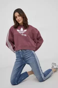 Толстовка Adicolor HC4620 adidas Originals, фиолетовый