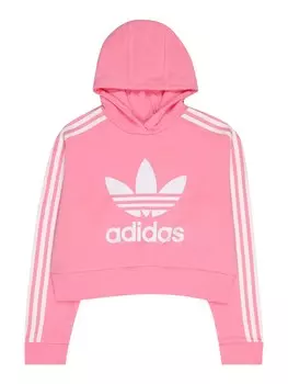 Толстовка ADIDAS ORIGINALS Adicolor, розовый
