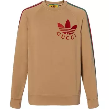Толстовка Adidas X Мужская темно-бежевая Gucci, темно-бежевый