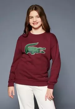 Толстовка Ага Lacoste, цвет bordeaux