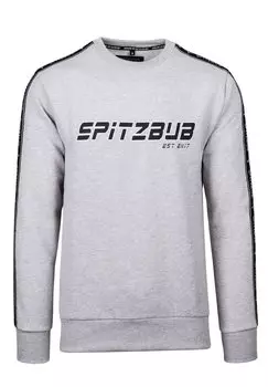 Толстовка ALEXANDER Spitzbub, цвет grau