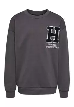 Толстовка ALLTON Hummel, серый