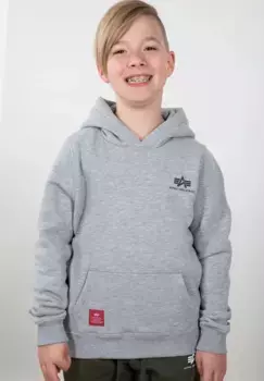 Толстовка Alpha Industries " Alpha Industries Kids - Толстовки Basic Hoody Small Logo Kids", серый
