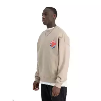 Толстовка Alpha Industries Japan Wave Warrior, бежевый