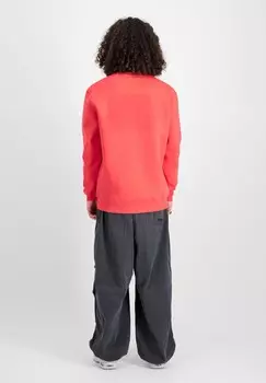 Толстовка Alpha Industries, красный