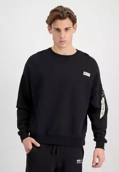 Толстовка Alpha Industries ORGANICS, органический черный