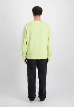 Толстовка Alpha Industries, светло-зеленый