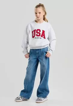 Толстовка America Today, светло-серый