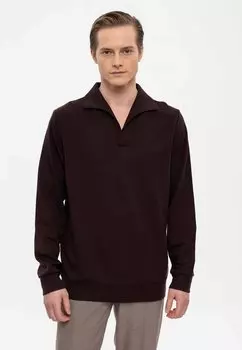 Толстовка Antioch, цвет brown