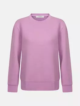 Толстовка Antioch, фиолетовый