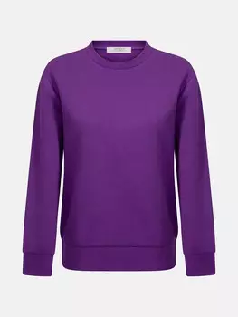 Толстовка Antioch, фиолетовый