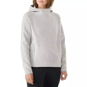 Толстовка Arc'teryx Covert с капюшоном, серый