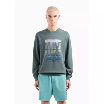 Толстовка Armani Exchange 3DZMJE_ZJZDZ, серый