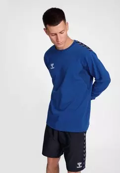 Толстовка AUTHENTIC CO TRAINING Hummel, цвет true blue