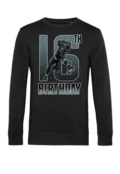 Толстовка AVENGERS CLASSIC BLACK PANTHER 16TH BDAY Marvel, черный